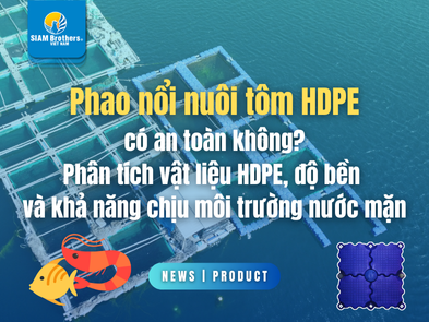 Phao nổi nuôi tôm HDPE có an toàn không? Phân tích vật liệu, độ bền và khả năng chịu môi trường nước mặn