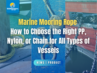 Marine Mooring Rope: How to Choose the Right PP, Nylon, or Chain for All Types of Vessels