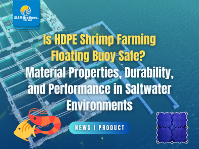 Is HDPE Shrimp Farming Floating Buoy Safe? Material Properties, Durability, and Performance in Saltwater Environments