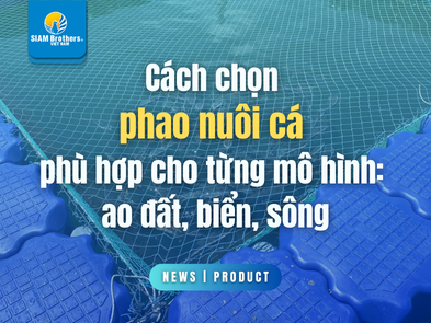 Cách chọn phao nuôi cá phù hợp cho từng mô hình: ao đất, biển, sông