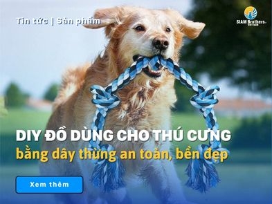 DIY đồ dùng cho thú cưng bằng dây thừng an toàn, bền đẹp