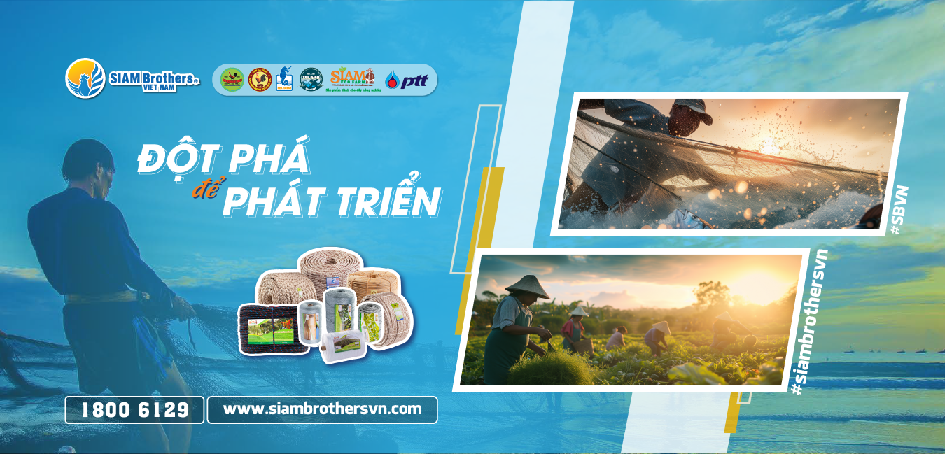 Đột phá để Phát triển