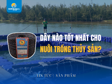 Which rope is best for aquaculture? Discover the Top 1 most preferred choice