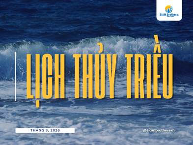 Lịch thủy triều 02/04/2026 (15/02/2026 âm lịch)