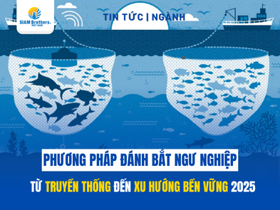 Tất tần tật về các phương pháp đánh bắt ngư nghiệp: Kiến thức cần biết trong năm 2025