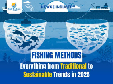 Fishing Methods – Everything from Traditional to Sustainable Trends in 2025
