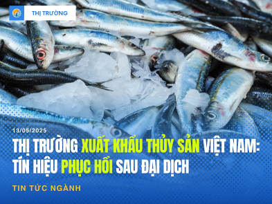 Thị trường xuất khẩu thủy sản Việt Nam 2025: Tín hiệu phục hồi sau đại dịch