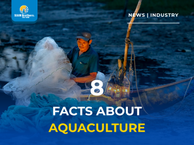 8 Facts About the Aquaculture Industry